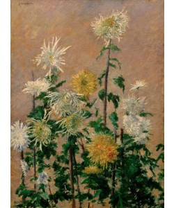 Gustave Caillebotte, Chrysanthèmes blancs et jaunes