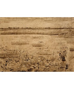 Vincent van Gogh, Sumpflandschaft mit Wasserlilien