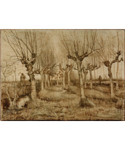 Vincent van Gogh, Kopfweiden