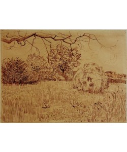 Vincent van Gogh, Park mit Strauch