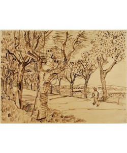 Vincent van Gogh, Die Straße nach Tarascon