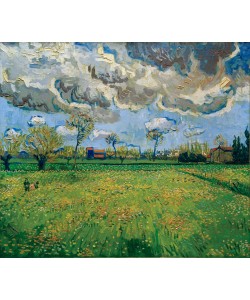 Vincent van Gogh, Wiesen (Arles)