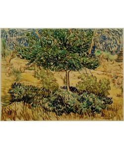Vincent van Gogh, Baum und Sträucher im Garten der Heilanstalt