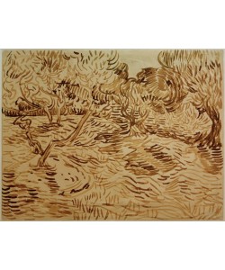 Vincent van Gogh, Olivenhain