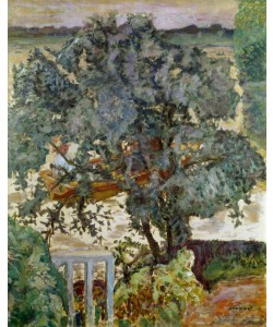 Pierre Bonnard, L’arbre près de la rivière