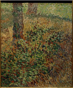 Vincent van Gogh, Unterholz