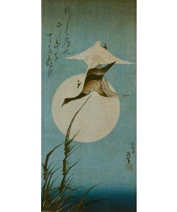 Katsushika Hokusai, Zwei Wildgänse