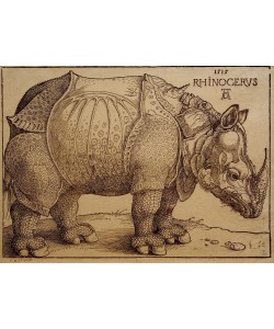 Albrecht Dürer, Das Rhinozeros