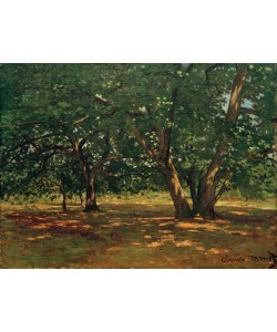 Claude Monet, Forêt de Fontainebleau