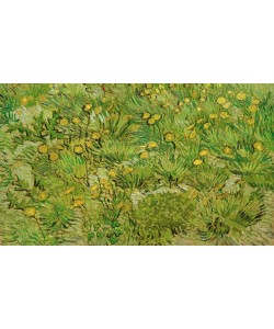Vincent van Gogh, Les pissenlits