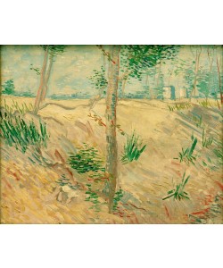 Vincent van Gogh, Baumstämme im Sonnenlicht