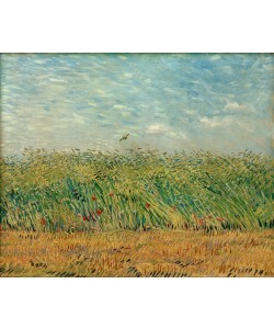 Vincent van Gogh, Getreidefeld mit Mohnblumen und Rebhuhn