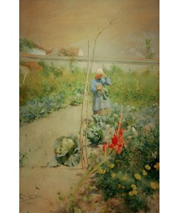 Carl Larsson, Im Küchengarten