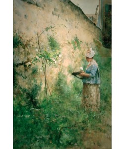 Carl Larsson, Die alte Mauer