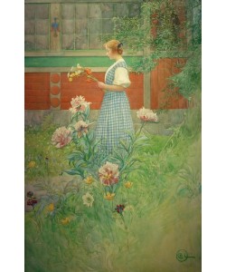 Carl Larsson, Lisbeth mit Pfingstrosen