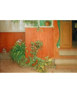 Carl Larsson, Suzanne auf der Veranda