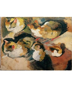 August Macke, Katzenstudien