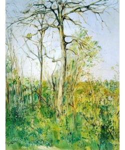 Francis Gruber, Paysage – Landscape