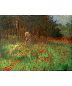 Marie von Malachowski-Nauen, Mohnwiese