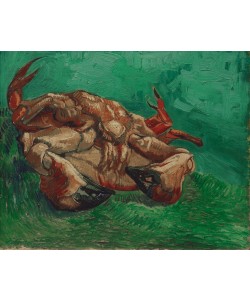 Vincent van Gogh, Auf dem Rücken liegender Krebs