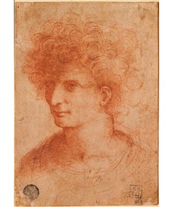 Leonardo da Vinci, Portrait, junger Mann