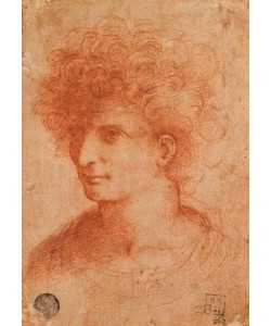 Leonardo da Vinci, Portrait, junger Mann