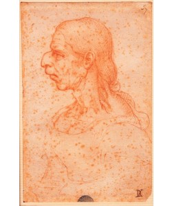 Leonardo da Vinci, Grotesker Kopf einer alten Frau im Profil