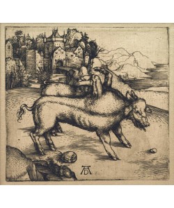Albrecht Dürer, Die Missgeburt des Schweins von Landser
