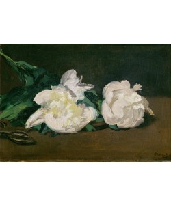 Edouard Manet, Branche de pivoines blanches et secateur