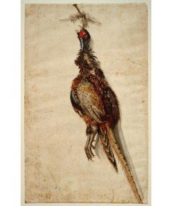 Lucas Cranach der Ältere, Toter Fasan, an einem Nagel hängend