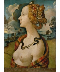 , Simonetta Vespucci