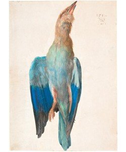 Albrecht Dürer, Tote Blaurake