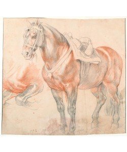 Peter Paul Rubens, Gesatteltes Pferd