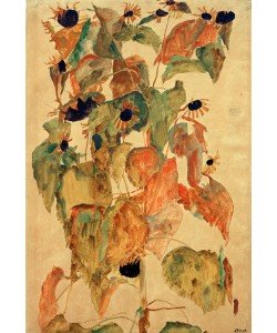 Egon Schiele, Sonnenblumen