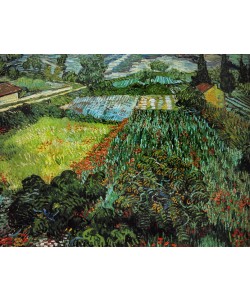 Vincent van Gogh, Mohnfeld