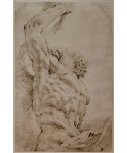 Peter Paul Rubens, Die Mittelfigur der Laokoon-Gruppe
