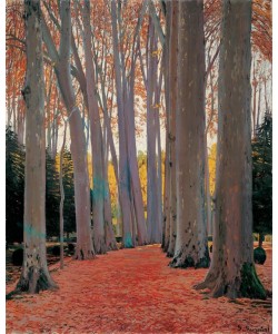 Santiago Rusinol, Platanenallee