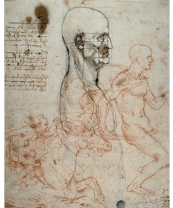 Leonardo da Vinci, Proportionsschema des menschlichen Kopfes und Reiterstudien