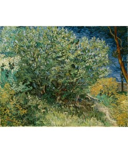 Vincent van Gogh, Fliederstrauch