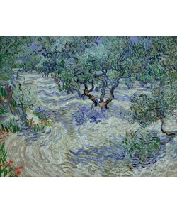 Vincent van Gogh, Olivenhain