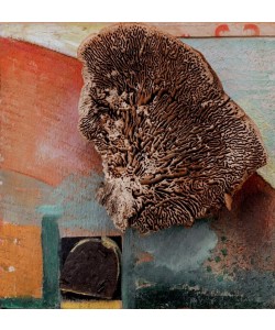 Kurt Schwitters, Ohne Titel (Merzbild mit Koralle)