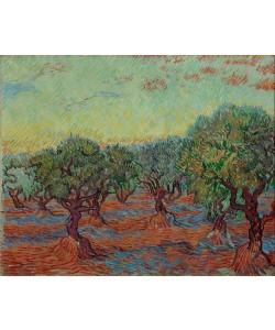 Vincent van Gogh, Olivenhain