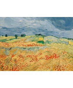 Vincent van Gogh, Felder, mit blühendem Mohn
