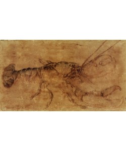 Albrecht Dürer, Hummer