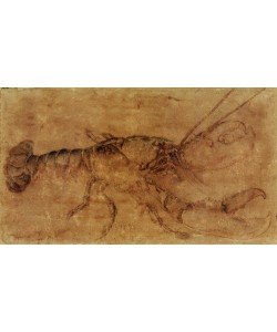 Albrecht Dürer, Hummer