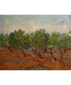 Vincent van Gogh, Olivenhain