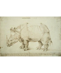 Albrecht Dürer, Rhinozeros