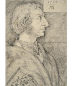 Albrecht Dürer, Ulrich Stark