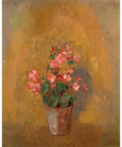 Odilon Redon, Begonias