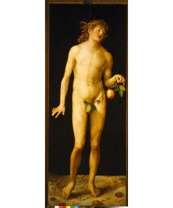Albrecht Dürer, Adam